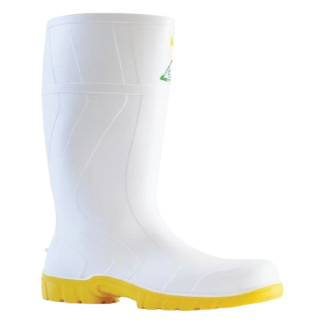 Footwear
