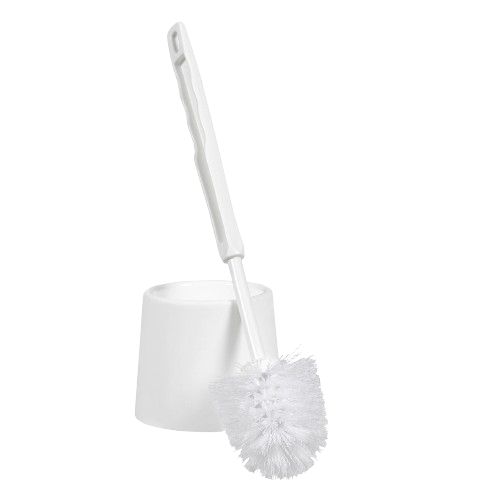 Toilet Cleaning