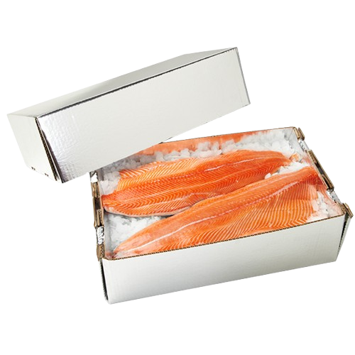 Hog Fish, Chilltainer, 740mm x 272mm x 200mm, Base Only