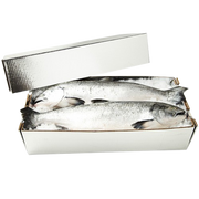 Hog Fish, Chilltainer, 740mm x 272mm x 200mm, Lid Only