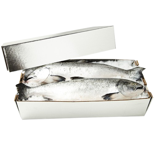 Hog Fish, Chilltainer, 740mm x 272mm x 200mm, Lid Only
