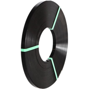 19mm Black Ribbon Wound Steel Strap Apex 190056