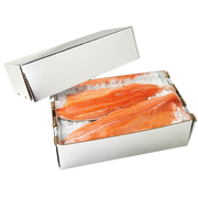 Salmon, Chilltainer, 680mm x 335mm x 160mm, Base Only